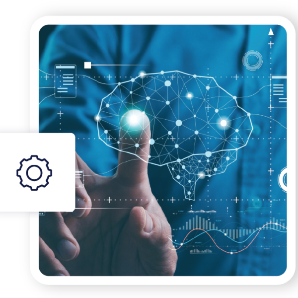 Gain transparency on AI models, data, and usage across your organization and third parties